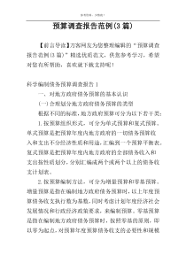 预算调查报告范例(3篇)