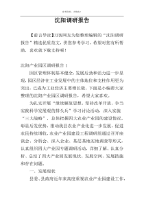 沈阳调研报告