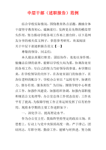 中层干部（述职报告）范例