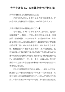 大学生暑假见习心得体会参考样例5篇