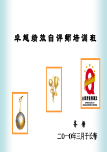 卓越绩效自评师培训(ppt 255) 