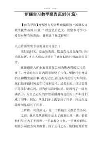 新疆实习教学报告范例(4篇)