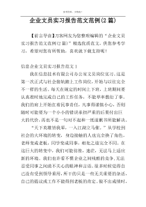 企业文员实习报告范文范例(2篇)