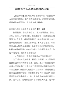 副县长个人总结范例精选4篇