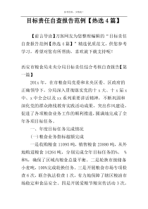 目标责任自查报告范例【热选4篇】
