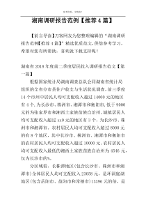 湖南调研报告范例【推荐4篇】