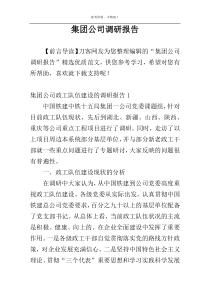 集团公司调研报告