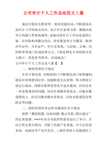 公司审计个人工作总结范文八篇