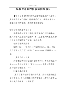 包装设计实践报告范例(2篇)