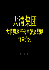 第四讲：大清房地产公司背景介绍