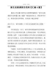 新生实践课报告范例【汇编4篇】
