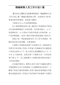 精编销售人员工作计划3篇