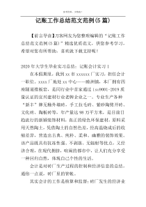 记账工作总结范文范例(5篇)