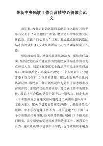 最新中央民族工作会议精神心得体会范文
