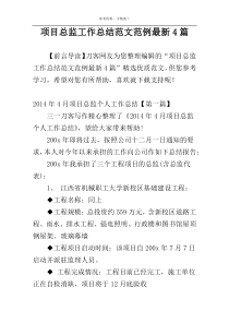 项目总监工作总结范文范例最新4篇