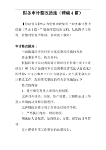 财务审计整改措施（精编4篇）