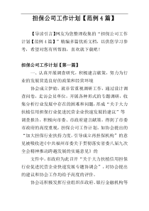 担保公司工作计划【范例4篇】