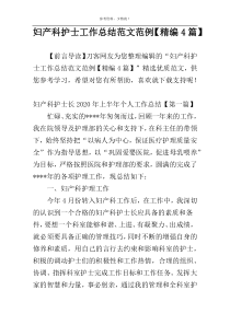 妇产科护士工作总结范文范例【精编4篇】