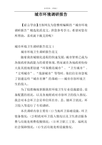 城市环境调研报告