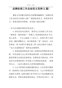 品牌经理工作总结范文范例(2篇)