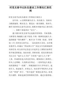 村党支部书记队伍建设工作情况汇报范例