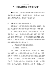 农村清洁调研报告范例(4篇)