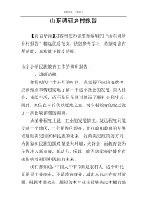 山东调研乡村报告