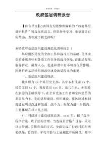 政府基层调研报告