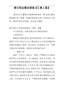 精文简会整改措施【汇集4篇】