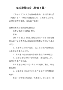 整改措施纪委（精编4篇）