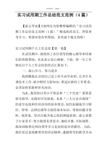 实习试用期工作总结范文范例（4篇）