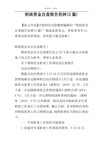 财政资金自查报告范例(2篇)