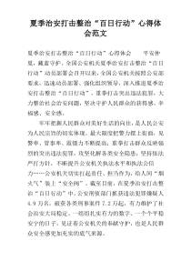 夏季治安打击整治“百日行动”心得体会范文