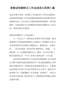 采购试用期转正工作总结范文范例5篇
