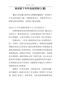 培训班下半年总结范例(3篇)
