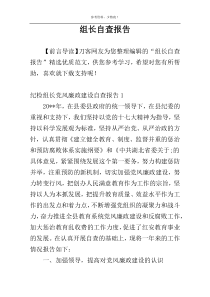 组长自查报告