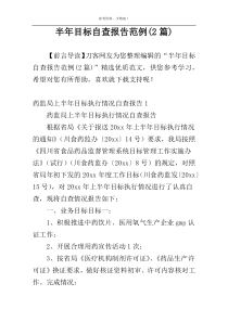 半年目标自查报告范例(2篇)