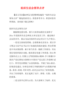 组织生活会领导点评