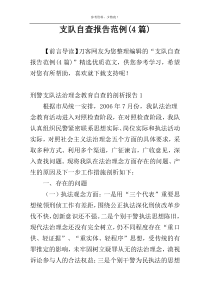 支队自查报告范例(4篇)