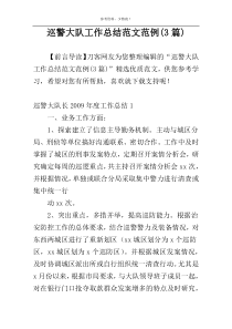 巡警大队工作总结范文范例(3篇)