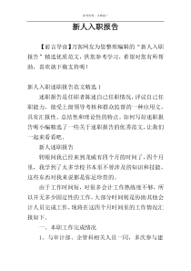 新人入职报告