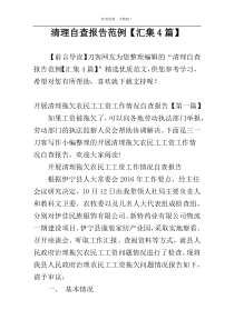 清理自查报告范例【汇集4篇】