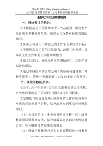 某有限公司员工绩效考核细则(1)