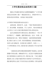 小学生敬老院总结范例(5篇)
