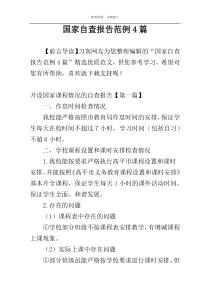 国家自查报告范例4篇