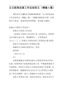 公立医院巡查工作总结范文（精编4篇）