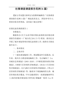 社情调查调查报告范例(4篇)