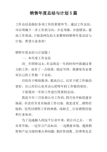 销售年度总结与计划5篇