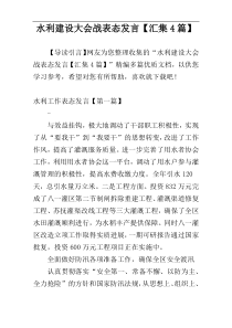 水利建设大会战表态发言【汇集4篇】