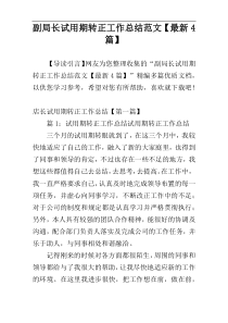 副局长试用期转正工作总结范文【最新4篇】